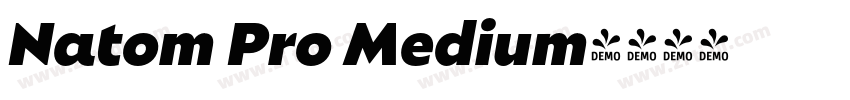 Natom Pro Medium字体转换